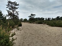 --- steeds meer zand
