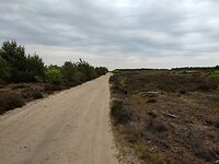 het laatste stuk zandpad naar radio Kootwijk