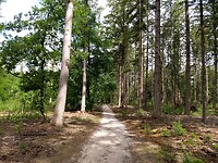 Speulderbos