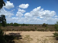 Ermelosche heide 1