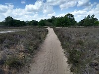 Ermelosche heide 2