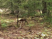 Garderen - Drie - Ermelosche heide | Reisverhaal | Conny Arts’s reisblog