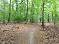 Harderwijkerbos