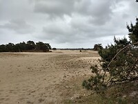 Beekhuizerzand
