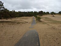 over een fietspad het Beekhuizerzand over