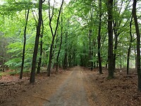 Landgoed Leuvenhorst