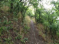 op weg naar de Rheinbrohler Ley