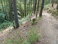 afdalen in het Brexbachtal