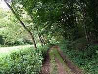 mooi landelijk op weg naar Vallendar