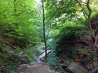 Ruperts klamm 1