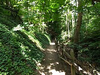 In het Bienhorntal
