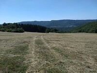 dwars door het hooiland bij de Bornhofer berg