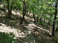 klimmen naar Lykershausen