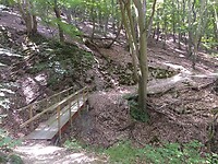 een prettige wandeling door mooi afwisselend bos