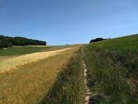 op de hoogvlakte na het Sachsenhauserwald