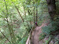afdalen in het Urbachtal
