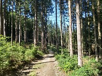langzaam afdeln in het mooie Sauerthal
