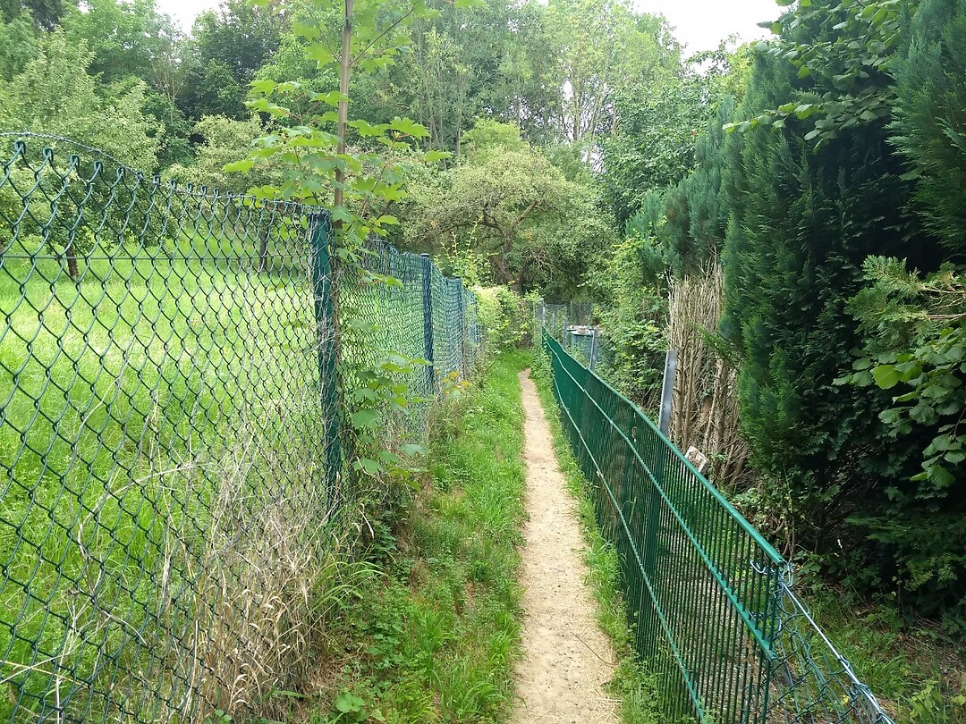 tussen de achtertuinen door naar Ockenfels