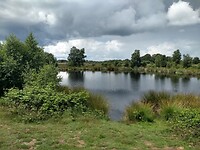 ven op het Ballooërveld