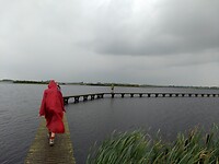 knuppelpad over Dannemeer