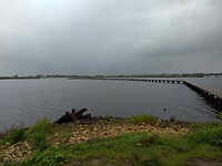 heel lang knuppelpad