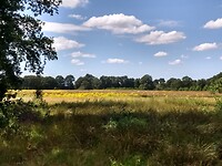 mooi doorkijkje met prachtige lucht