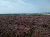 Op weg naar Archemerberg