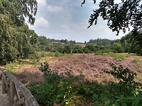 Lemelerberg