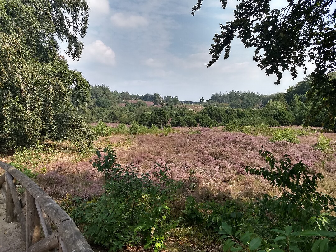 Lemelerberg