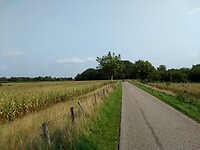 Veel dijkweggetjes