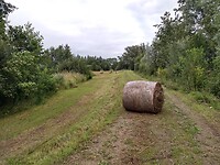 Dijkjes en kleine hooivelden