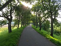 Mooie lanen bij Marienwaerdt