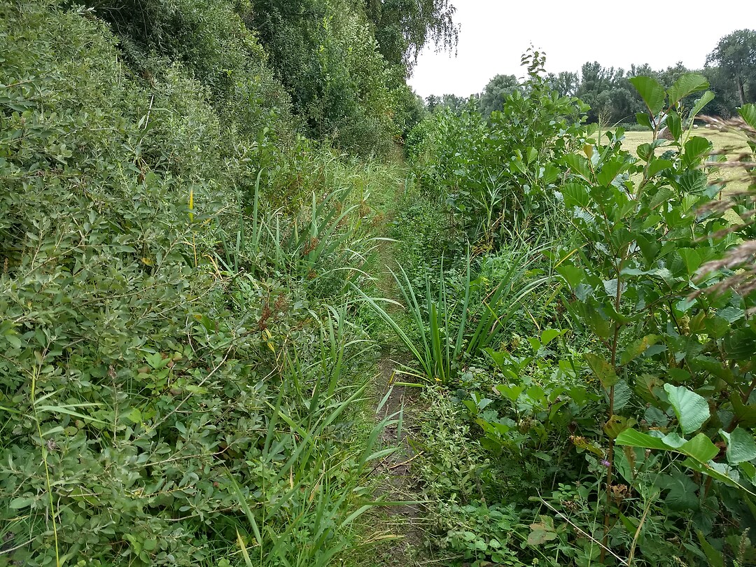 Waar is het pad?