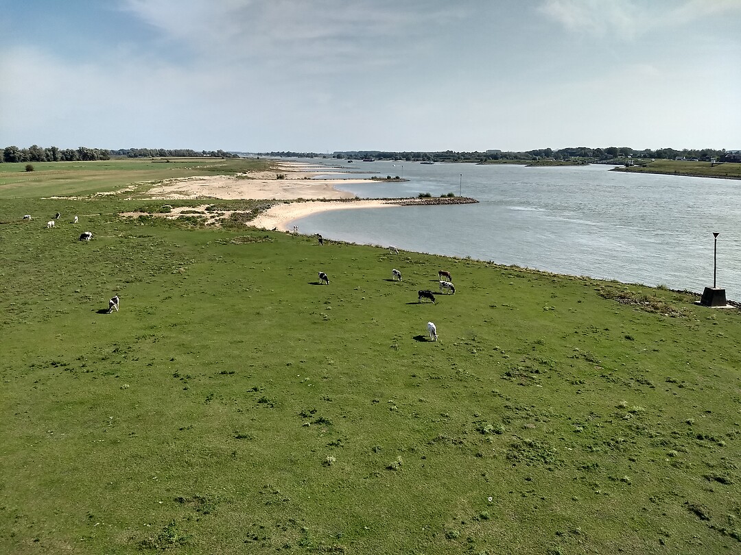 Uiterwaarden van de Waal