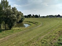 De machtige Waalbandijk