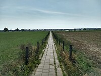 Pad de uiterwaarden in bij IJzendoorn