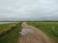 De Gouverneurspolder (uiterwaarden)