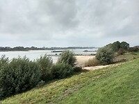 De Waal