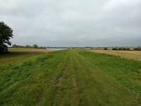 Zomerdijk