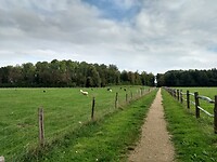 Op weg naar Zetten