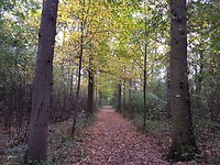 Heerlijkheid Oosterhout