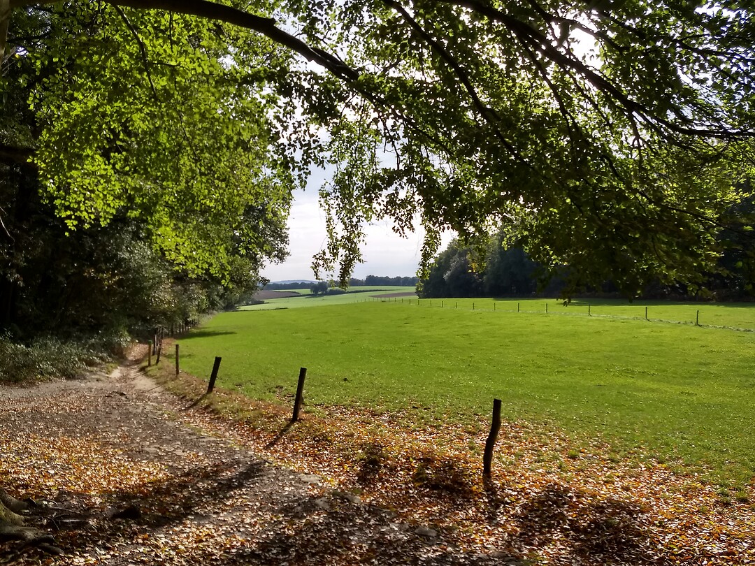 Net na de Duivelsberg