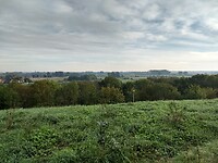 Uitzicht op de Ooijpolder