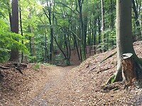 Heuveltje op en heuveltje af
