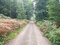 Rottmansberg (58m)