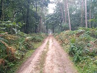 Op de Beginnersberg (78m)
