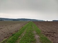 Op weg naar de heuvels van het Reichswald