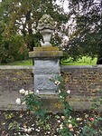 Rozen bij kasteel Eijsden