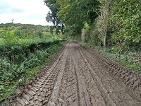 Modderpaden door regen en suikerbieten oogst