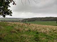 Uitzicht vanaf het Groote Bosch